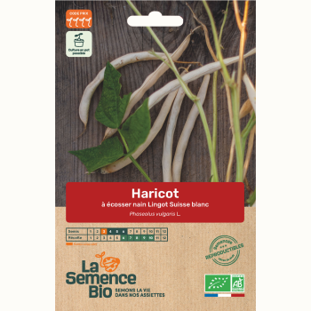 haricot-a-ecosser-blanc-nain-lingot-suisse-bio