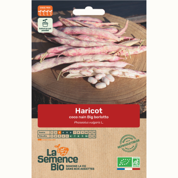 semences-bio-reproductibles-haricot-coco-nain-big-borlotto