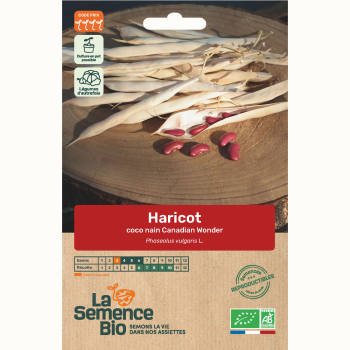 semences-bio-reproductibles-haricot-coco-canadian-wonder