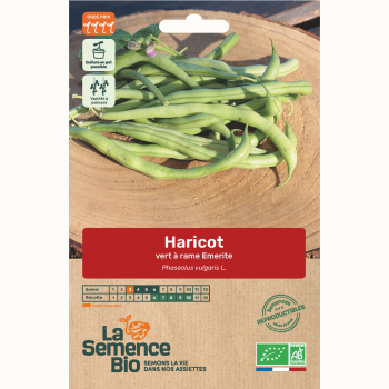 semences-bio-reproductibles-haricot-vert-grimpant-emerite-bio