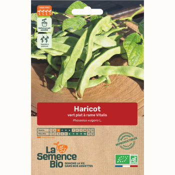 semences-bio-reproductibles-haricot-a-rame-vitalis