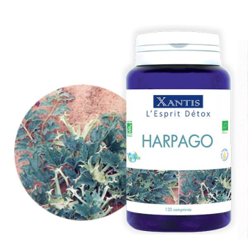 Harpago Bio 120 comprimés / 30 jours
