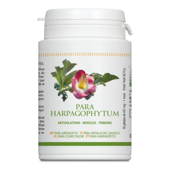 Parabolic: Para Harpagophytum 