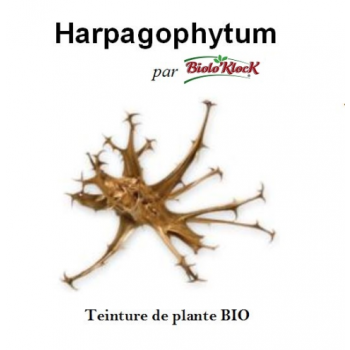 Extrait d'Harpagophytum - 100ml