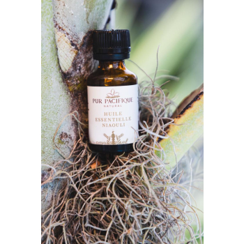 Huile essentielle de Niaouli pure et vierge 100% d'origine naturelle