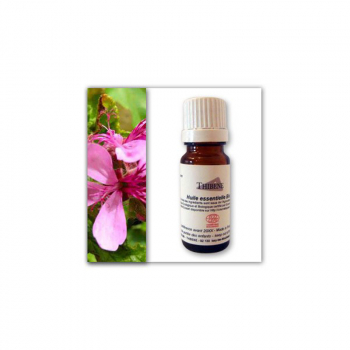 huile-essentielle-de-geranium-rosat-bio-huiles-essentielles-10-ml