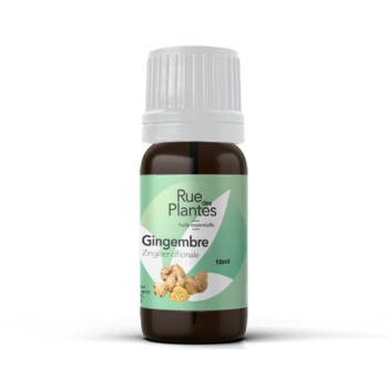 Huile_essentielle_de_gingembre_bio_-_Rue_Des_Plantes-105672