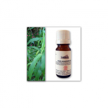 huile-essentielle-de-palmarosa-bio-10-ml