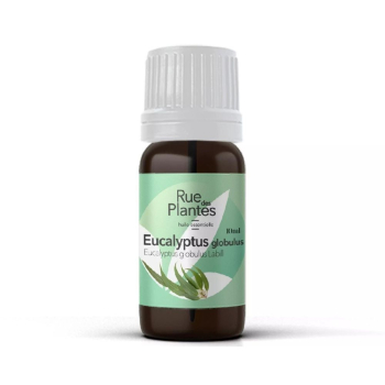 HuileessentielleEucalyptusglobulusbio-RueDesPlantes1