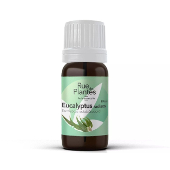 HuileessentielleEucalyptusradiatabio-RueDesPlantes1