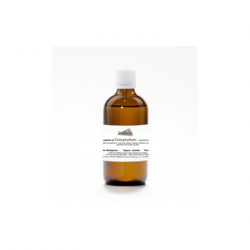 huile-vegetale-de-calophyllum-inophyllum-pure-et-naturelle-flacon-verre-100-ml