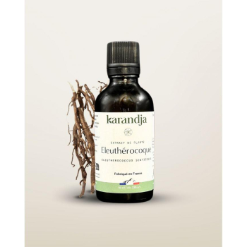 karandja-extrait-de-plante-eleutherocoque-50ml-bio-eleutherococcus-senticosus