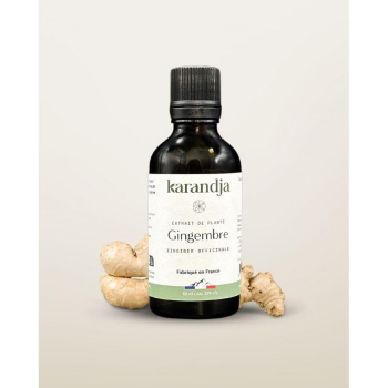 karandja-extrait-de-plante-gingembre-50ml-bio-zingiber-officinale