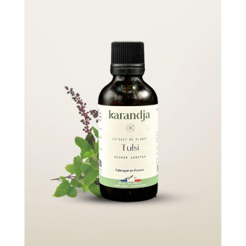 karandja-extrait-de-plante-tulsi-50ml-bio-ocimum-sanctum