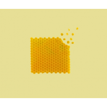 Kit de ré-enduction - cire d'abeille