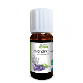 lavandin-grosso-bio-huile-essentielle-bio-10-ml