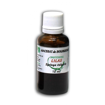 Macérât BIO de bourgeons : Lilas  10 ml  DROMESSENCE