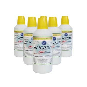 Silicium7 pro lot de 6 bouteilles