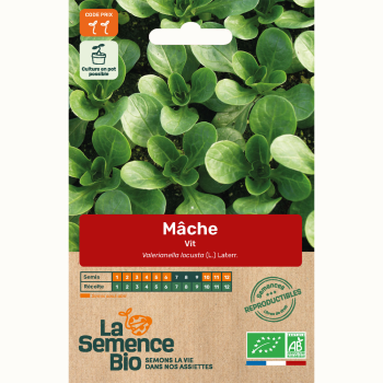 semences-bio-reproductibles-mache-vit-bio