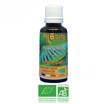 Marronnier-Gemmotherapie-Bio-Herbiovital-systèmeveineux
