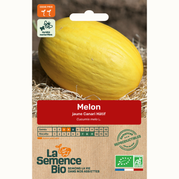semences-bio-reproductibles-melon-jaune-canari-bio