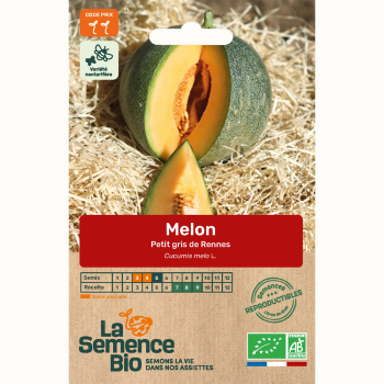 melon-petit-gris-de-rennes-bio