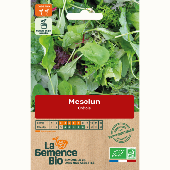 semences-bio-reproductibles-mesclun-cretois-bio