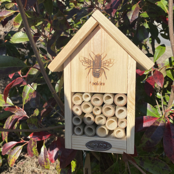 Abri abeilles silhouette