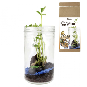 Terrarium de la savane à assembler