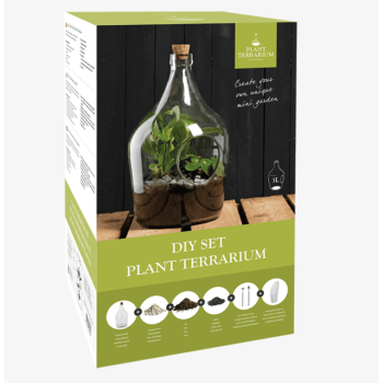 Terrarium végétal à faire soi-même - 3 L