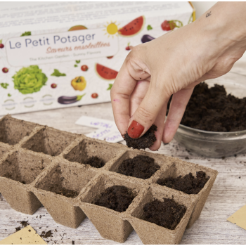 Coffret : Le Petit Potager Saveurs ensoleillées BIO