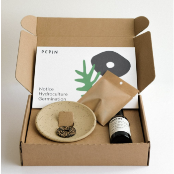 Coffret de germination - Pepin