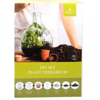 Terrarium végétal à faire soi-même - 5 L