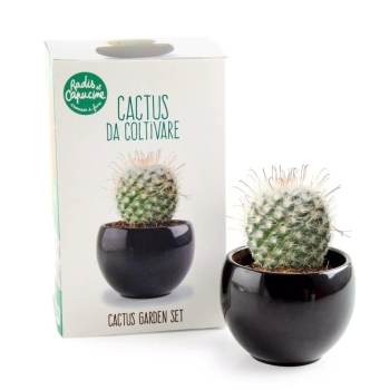 Kit Cactus à faire pousser