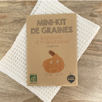 Mini kit de graines - Raymond le potimarron