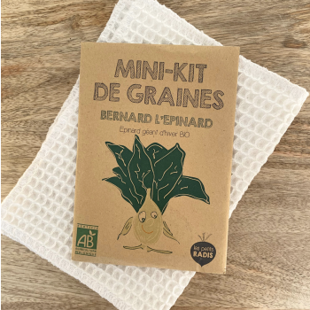 Mini kit de graines - Bernard l'épinard