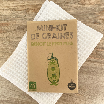 Mini kit de graines - Benoit le petit pois