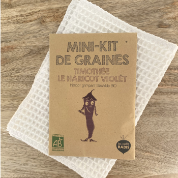 Mini kit de graines - Timothee le haricot violet