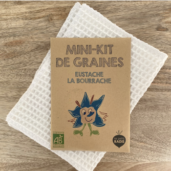 Mini kit de graines - Eustache la bourrache