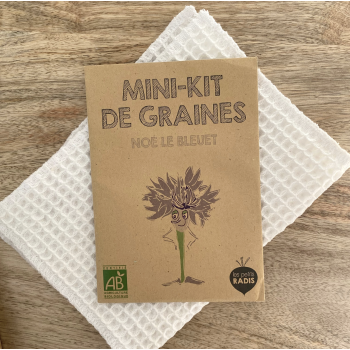 Mini kit de graines - Noé le bleuet