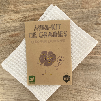 Mini kit de graines - Cléophée la pensée