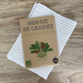 Mini kit de graines - Augustin le muesclun