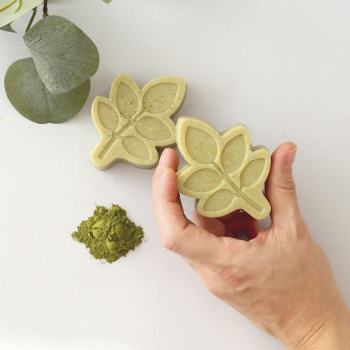 KIT DIY : Coffret au Moringa