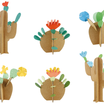 Kit créatif : 6 cactus à construire
