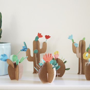 Kit créatif : 6 cactus à construire