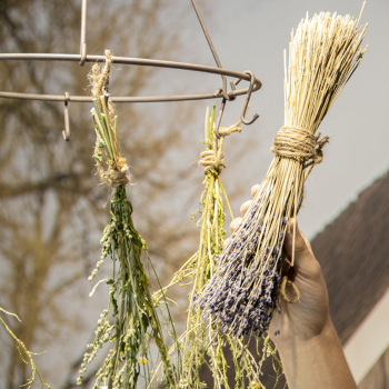 Séchoir en métal pour fleurs et herbes