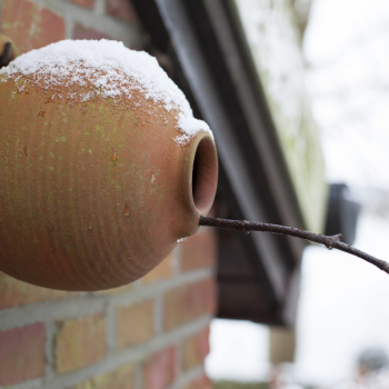 Nid pour oiseaux bouteille ronde