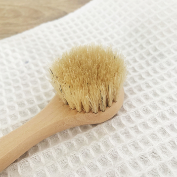 Brosse à champignons en bois naturel