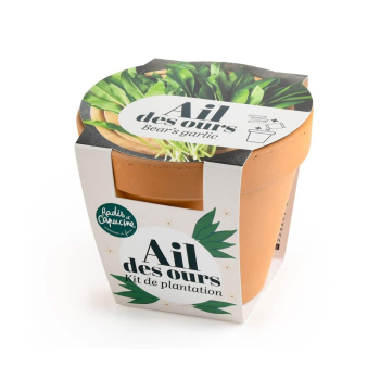 Kit de plantation - Ail Des Ours