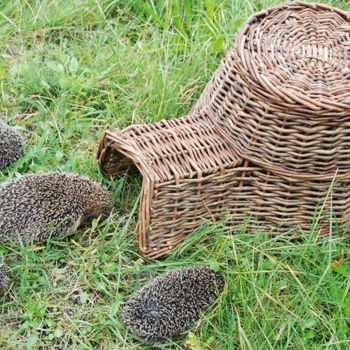 Panier pour hérissons